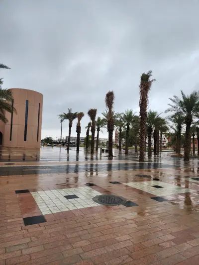 صورة ٥، استراحة الواحة الخضراء