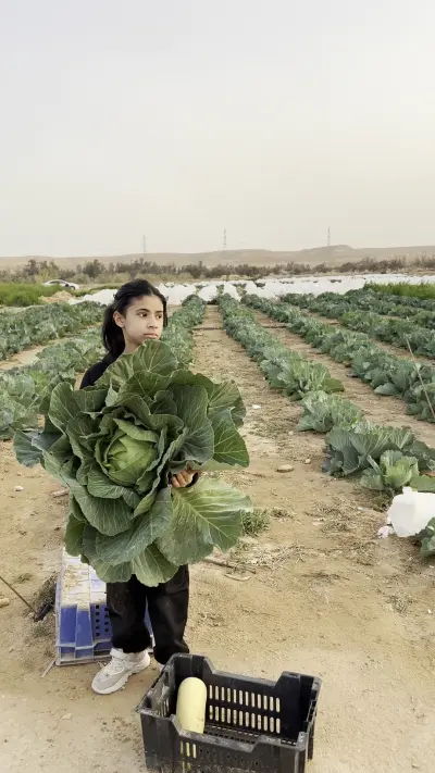 صورة ٣، كشك مزرعة الصالح