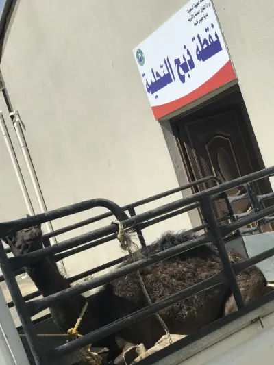 صورة ٥، استراحة المنارة