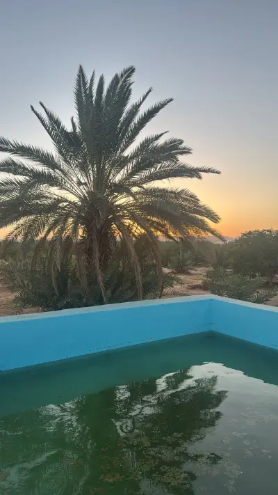 صورة ٢، استراحة و شالية مدل فارم