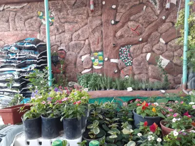 صورة ٢، مشتل بيت الورد