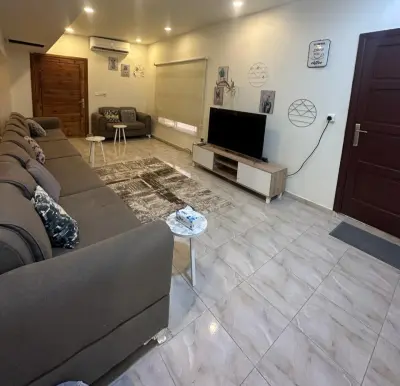 صورة ٣، النورس