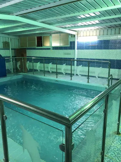 استراحة اللؤلؤة