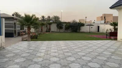 صورة ٢، استراحة النخيل