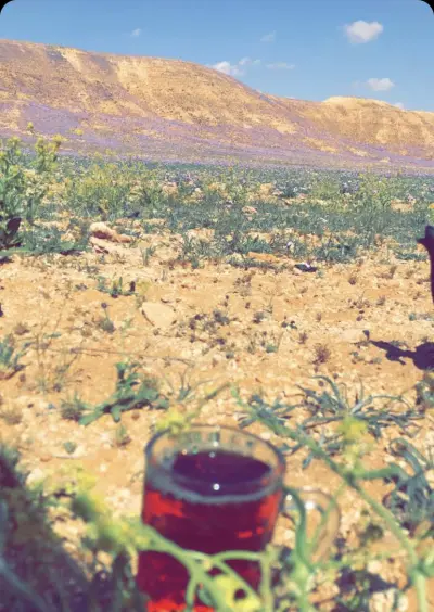 صورة ٢، شاليه ماردين