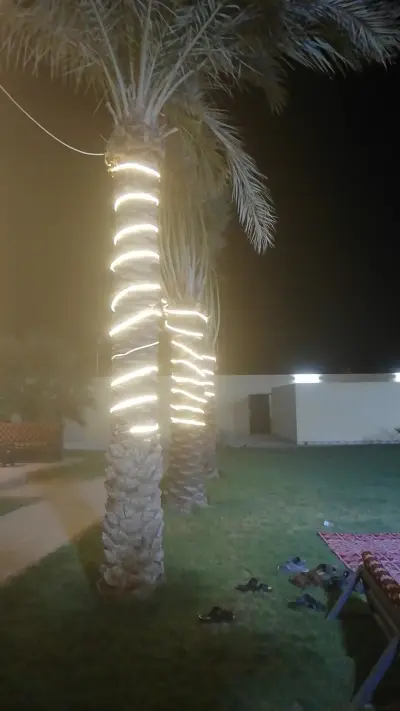 صورة ٥، شاليه واستراحة مواسم