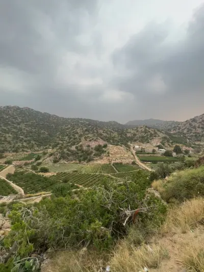صورة ٣، استراحة الهديّة