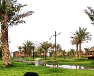 مزرعة ASHM