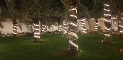 استراحة طارق عاشور
