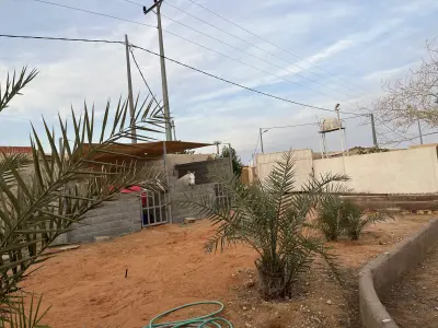 صورة ٣، استراحة عجايب