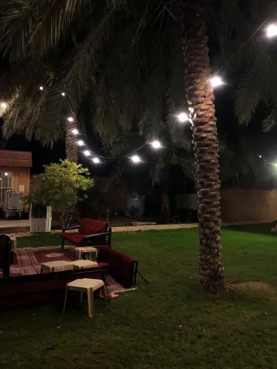 صورة ٢، منتجع ظلال النخيل
