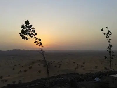 صورة ٤، استراحة فهد خضر المعبدي الحربي