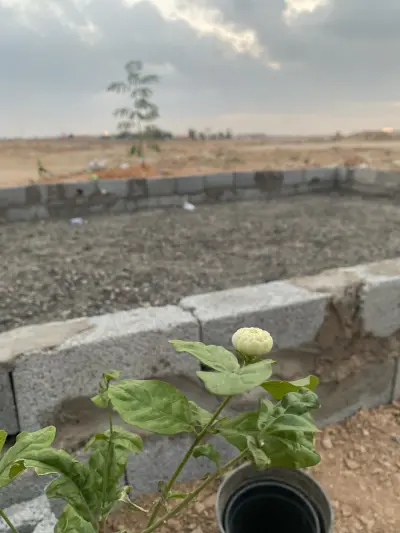 صورة ٣، مركاز أبو رائف