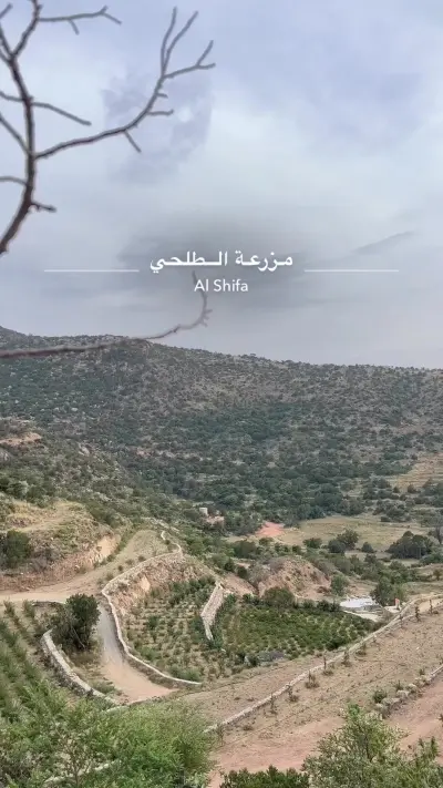 صورة ٣، استراحة ابو عيسى