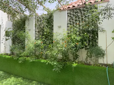 شاليهات روزينا