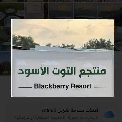 صورة ٢، منتجع ومزرعة التوت الأسود ابها