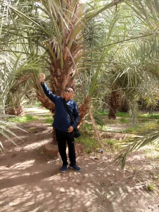 صورة ٥، مزارع وثلاجات الردادي