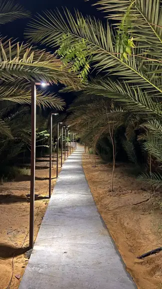 صورة ٣، اكواخ البتال