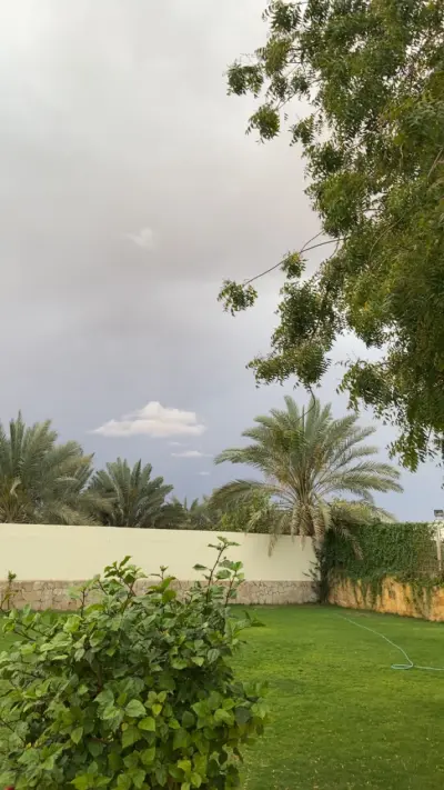 استراحة وقت الوناسة