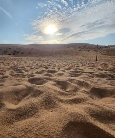 صورة ٢، مخيم تايمز كامب