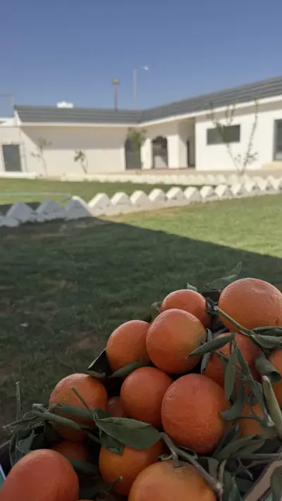 صورة ٤، استراحه الماسية