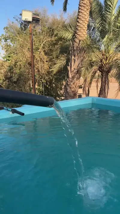 صورة ٣، مزرعة ابو مشاري للإيجار اليومي