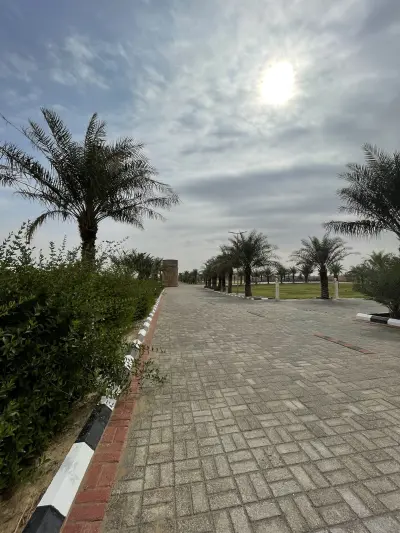 صورة ٣، مزرعة الشيخ راشد بن هادي المسردي