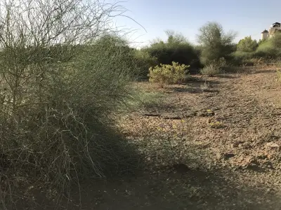 صورة ٤، مزرعة الوادي للتأجير اليومي