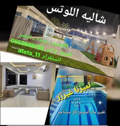 صورة ٤، شاليه اللوتس البصر