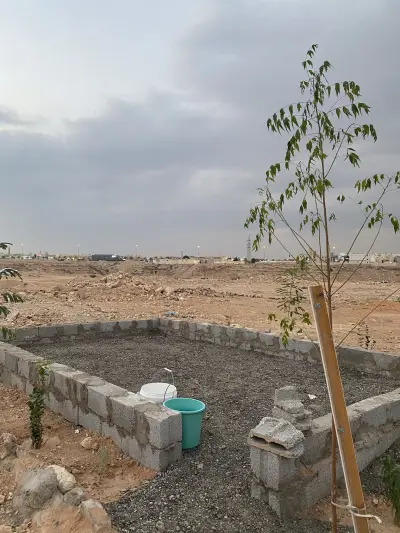 صورة ٤، مركاز أبو رائف