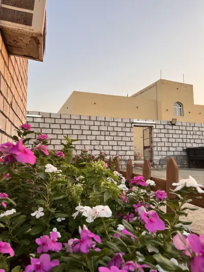 استراحة ليالي الأنس