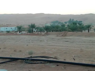 مزرعة النمرانية