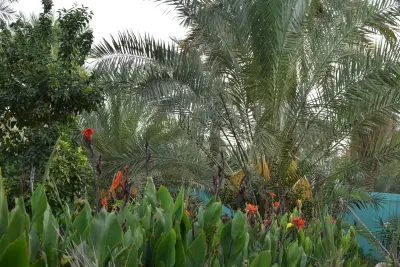 صورة ٣، منتزه المزرعة السياحي