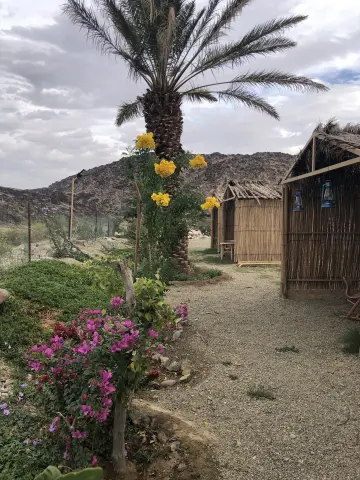 صورة ٣، مزرعة عقيق النخل الريفية
