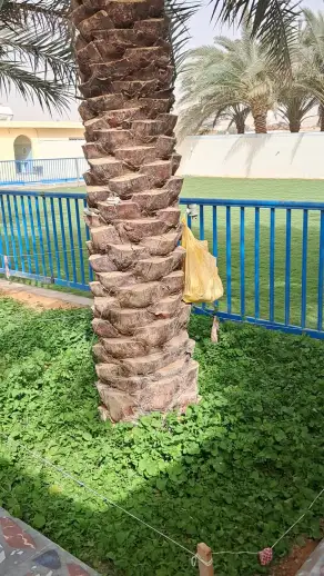 صورة ٣، استراحة ريف العقيل