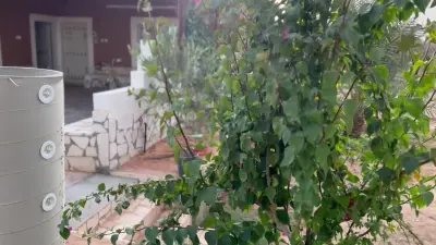 حايط البديعه