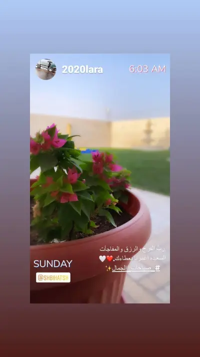 صورة ٥، شاليهات بيهاتش
