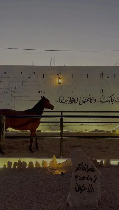 صورة ٣، مخيم نيوم