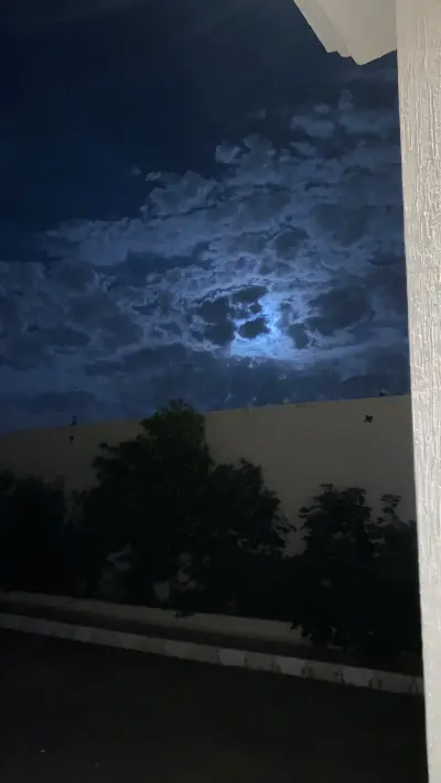 صورة ٣، استراحة اللافندر