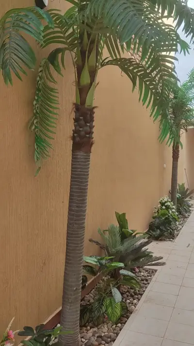 صورة ٢، استراحة الحمراء