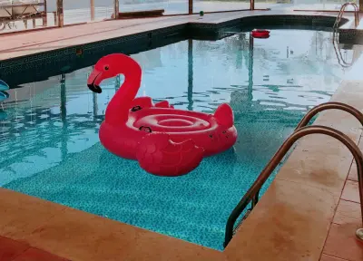 شالية الموال