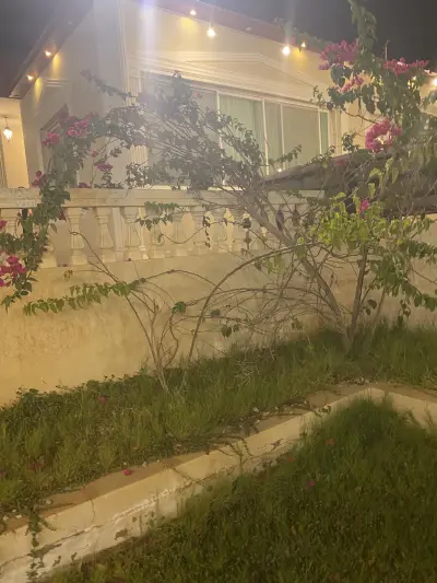 صورة ٤، شاليه الخميلة
