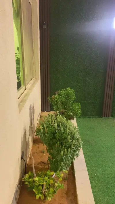 صورة ٣، شاليهات اكت ون
