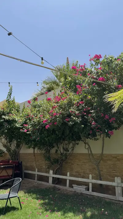 صورة ٥، شاليه ليالي ذوق