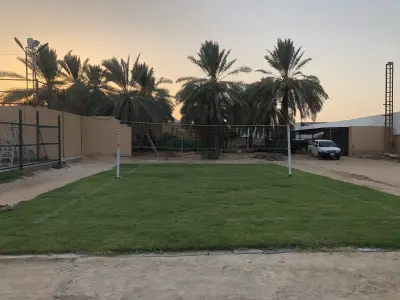 صورة ٤، استراحة السلوى