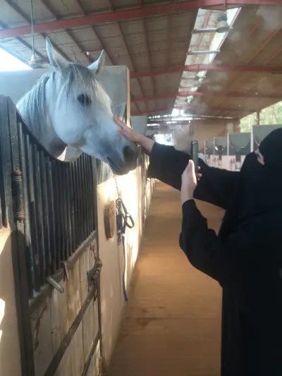 صورة ٣، مركز عُقول مثمرة للتدريب