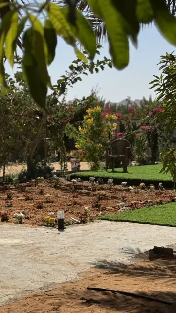 مزرعة المعتدل