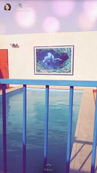 صورة ٤، شاليهات الدلفين
