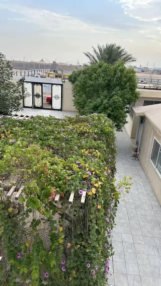 صورة ٤، استراحة الريم