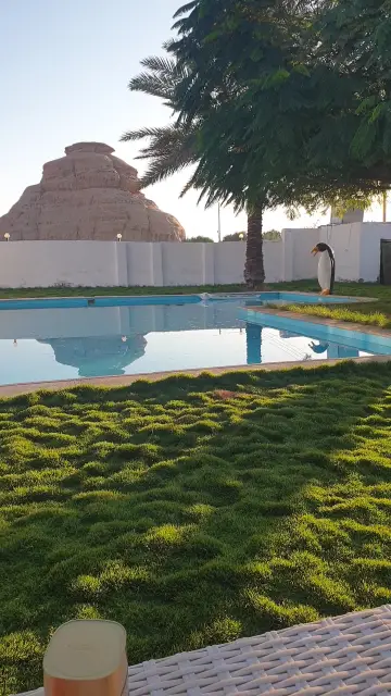 صورة ٣، مزرعة محمد عبيد البلوي